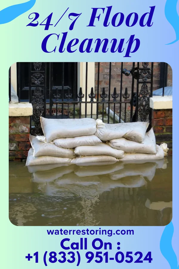 24/7 Flood Cleanup in Bridgeville, DE