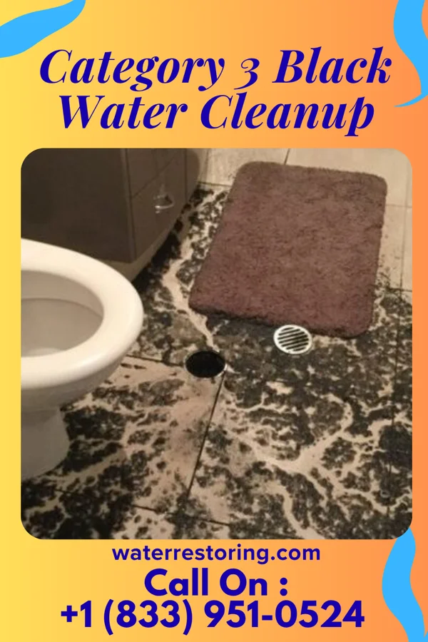 Category 3 Black Water Cleanup in Bridgeville, DE