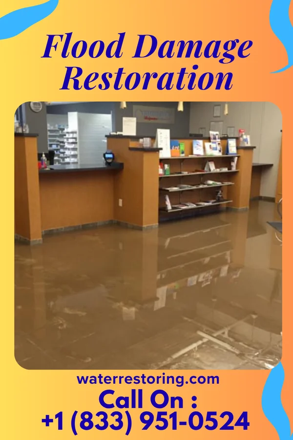 Flood Damage Restoration in Bridgeville, DE