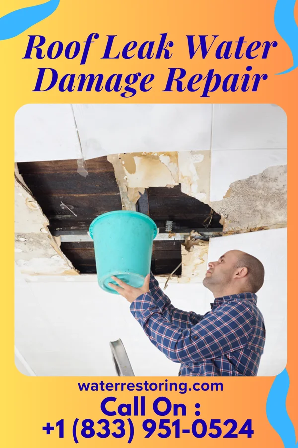 Roof Leak Water Damage Repair in Bridgeville, DE