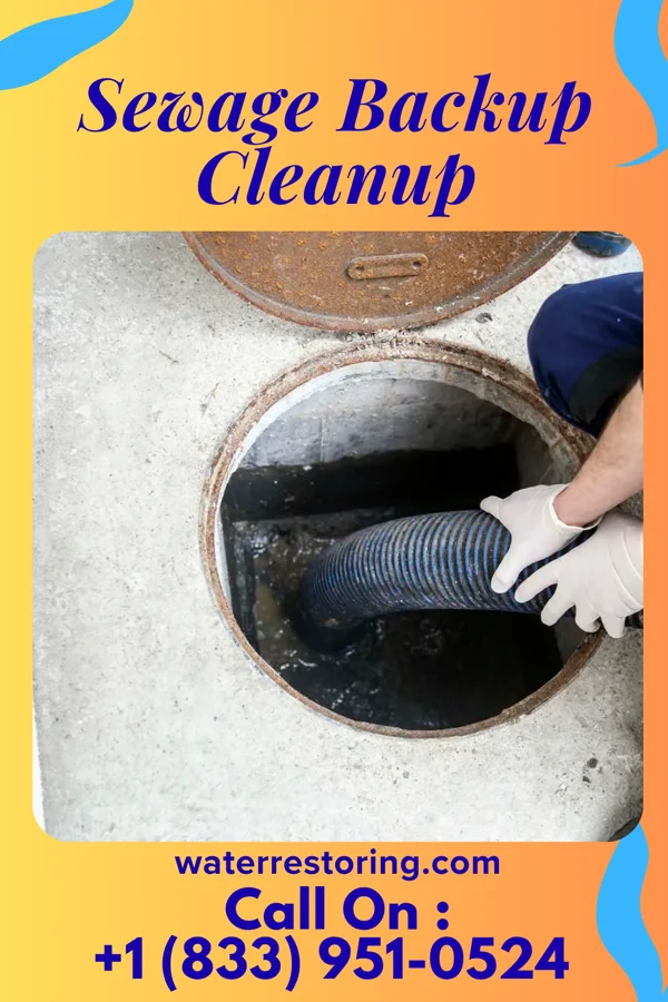 Sewage Backup Cleanup in Bridgeville, DE